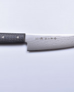 Gyuto F-1352 chef knife